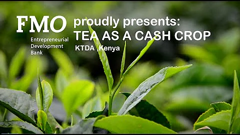 Kenya Tea Development Agency - DayDayNews