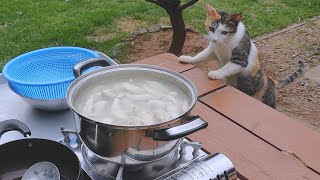 A cat that checks if it's cooked well