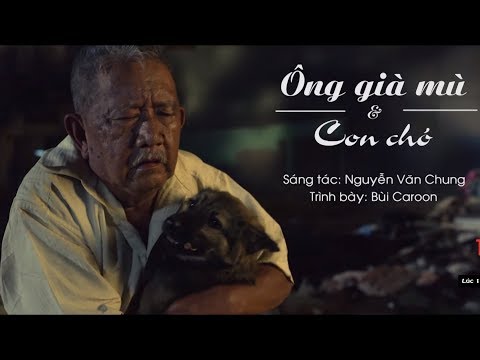 Video: Khi con chó của bạn bị mù