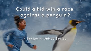 Famous Could a kid win a race against a penguin? Profile