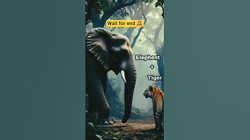 "Elephant 🐘 vs Tiger 🐅 Hybrid Clash | Giant Power Meets Wild Fury#trending #animals #shortsviral
