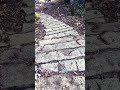 Sprengstoff für deine Transformation