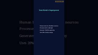 Human Brain | Selection With Sathi #Shorts