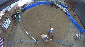 Big Sky Ranch Sorting Saddle Series #5 - #3 - Round #1 - Ride #7