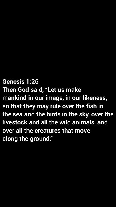 shorts motivation love facts quotes jesus god bible Genesis 1 shorts-motivation-love-facts-quotes-jesus-god-bible-genesis-1