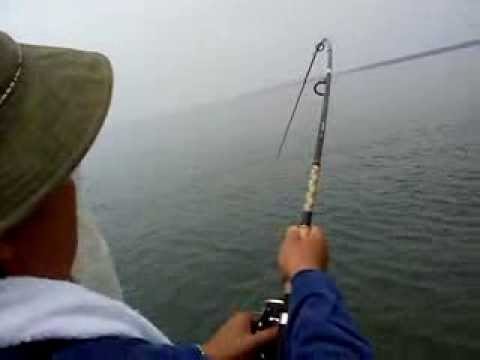 PANCING LAUT DALAM KONG KONG - YouTube