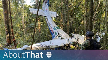 Forty days in the Amazon: How four kids survived a plane crash | About That