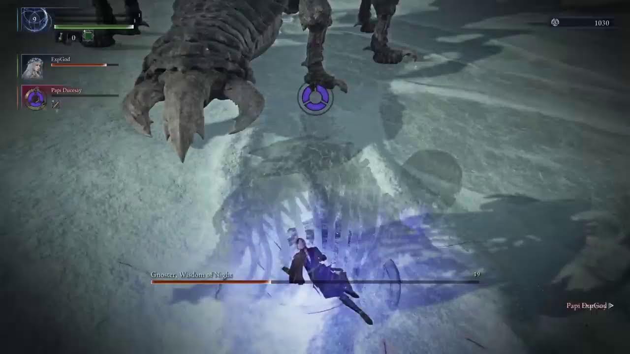 Elden Ring NightReign w/Ducesay