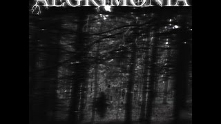 01. Aegrimonia - Życie w trzech aktach
