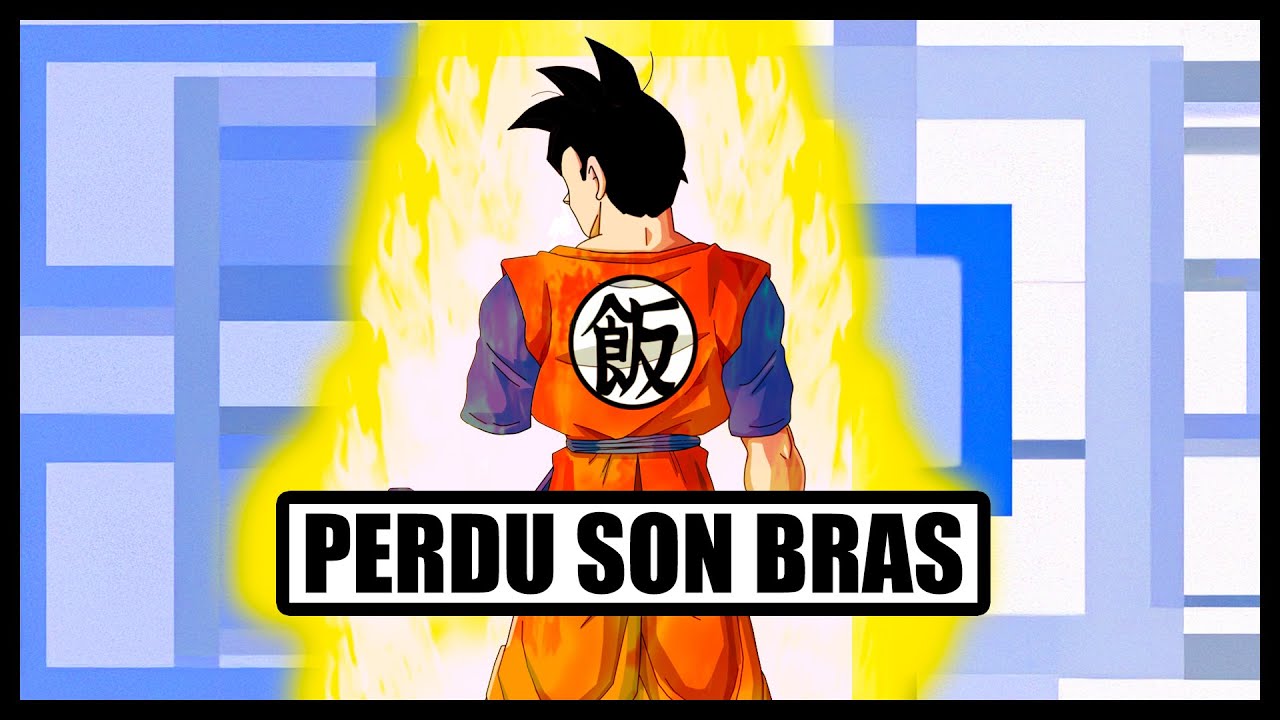 COMMENT GOHAN DU FUTUR A-T-IL PERDU SON BRAS GAUCHE ?! - PETITES QUESTIONS