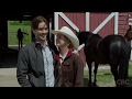 Heartland 1202 First Look