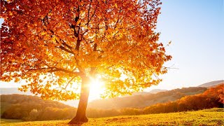 Beautiful Relaxing Hymns, Peaceful Instrumental Music, &quot;Golden Autumn Morning Sunrise&quot; By Tim Janis