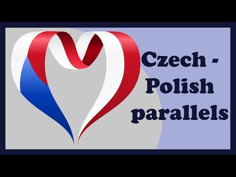 🇨🇿🇵🇱 Сравнение списков Сводеша для чешского и польского языков