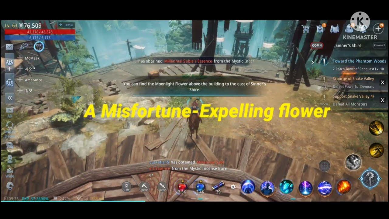 MIR4 A misfortune expelling flower Find the moonlight flower YouTube