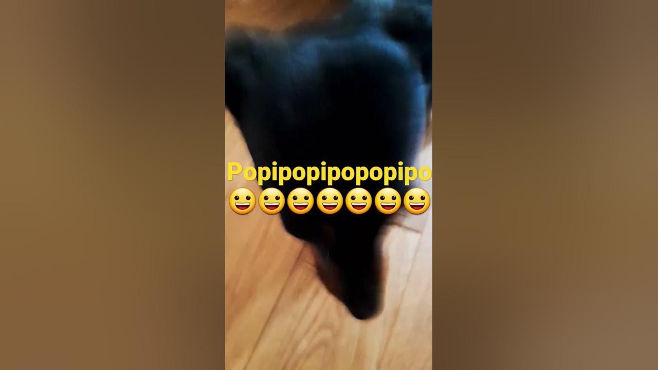 popipopipopopipo - YouTube