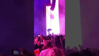 Tame Impala, “Feels Like We Only Go Backwards” - live at Firefly Music Festival (09/25/21) #shorts
