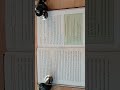 Dungeons and Dragons How to Be More DND by Kat Kruger (Foundational Text For Decisions) Green