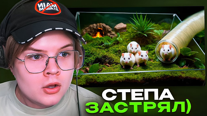 КАША СМОТРИТ - ДЕТЕНЫШИ СТЕПЫ ПОПАЛИ В ПОДЗЕМНЫЙ ХОМЯКАРИУМ
