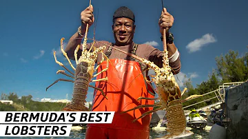 How Fisherman Delvin Bean Has Been Catching Bermuda’s Best Lobsters for Over 30 Years  — Vendors