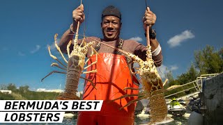 How Fisherman Delvin Bean Has Been Catching Bermuda’s Best Lobsters for Over 30 Years  — Vendors