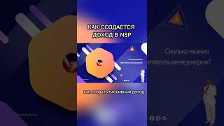 Как создаётся доход в NSP.