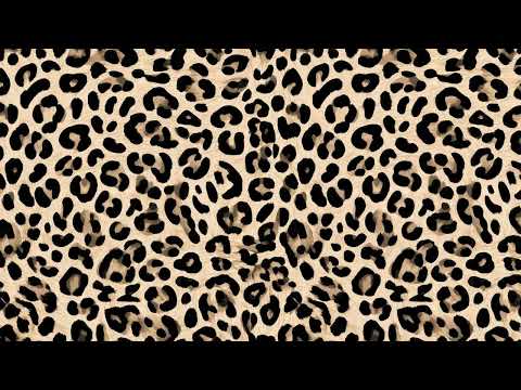Leopard Skin Animal Prints, a Pattern Graphic by karenfoleyphoto (Thumbnail 2 of 8)