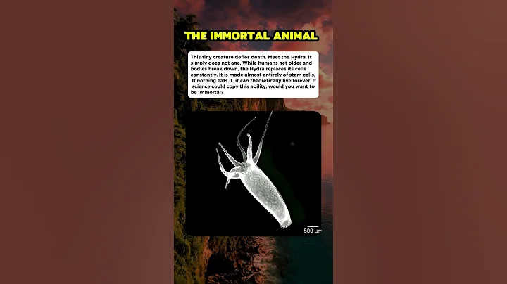 Biology broke the rules of aging with the Hydra. #curiosity #mistery