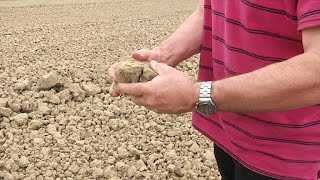 Canicule: l'inquiétude des agriculteurs