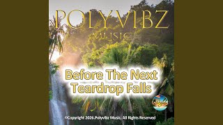Before The Next Teardrop Falls