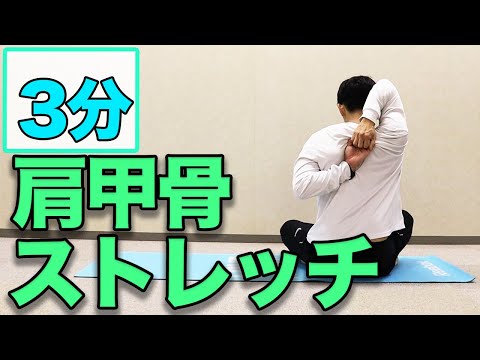 【肩甲骨がガッチガチに硬い人向け】最速！３分！肩甲骨ストレッチ