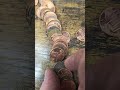 Lincoln Cent Search July 13. Indian Head Found