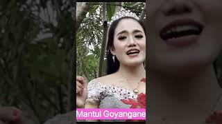 erinsabrina cdanursarisragenankoplo wongbagusmekarasri nikensalindrycdanursari