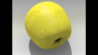 3D Model of Apple Yellow Review