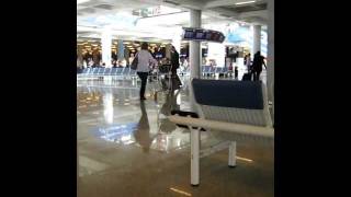 Ryanair - Fight in Mallorca airport.