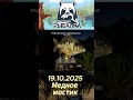 Медное Мостик фарм  #рр4  #rf4 #рыбалка #fishing #rr4 #точкиклева #carpfishing