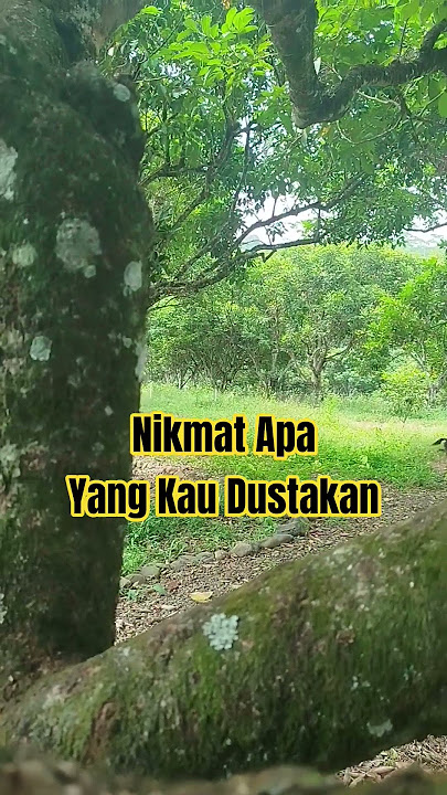 Nikmat Apa Yang Kau Dustakan #rezeqi #quotes #huwannur #shalawat #motivasi