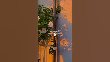 Mukoli Mon- Song Status😌|Assamese New🦋Whatsapp Status🧡|Assamese Love Song💕Status💝| #assamese #status