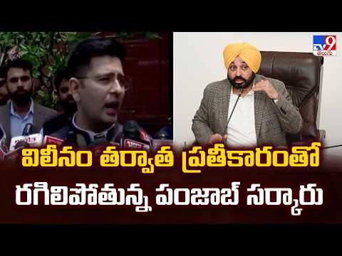Raghav Chadha Comments : విలీనం తర్వాత ప్రతీకారంతో రగిలిపోతున్న పంజాబ్ సర్కారు - TV9 - TV9