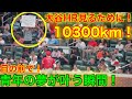 大谷HRを見るために10300km賭けた男！目の前で夢が叶う瞬間！【現地映像】