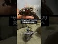 ゴキブリを“サイボーグ化”して遠隔操作、災害医療への応用を目指す実証実験に成功