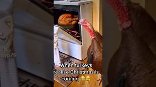 Christmas memes #funny #christmas #2023 #shorts