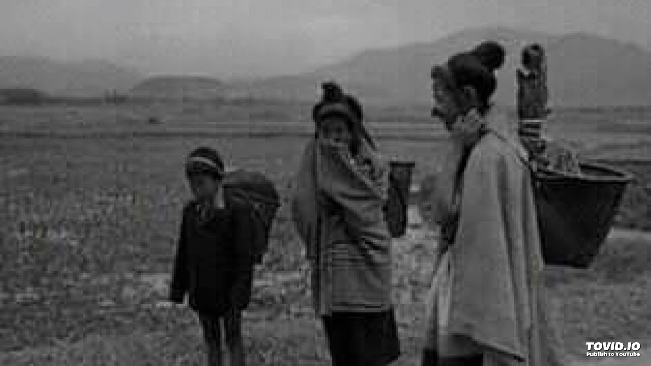 Diihii Diimii ll Apatani Song ll Arunachal Tribe Song