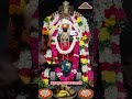 thoranamalai #தோரணமலை #agasthiyar #theriyar #powrnami #krivalam #tenkasi #pothigai malai #spritual