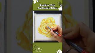Watercolor Pencil Rose Shading