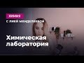 Оборудование для химической лаборатории | ЕГЭ Химия | Лия Менделеева