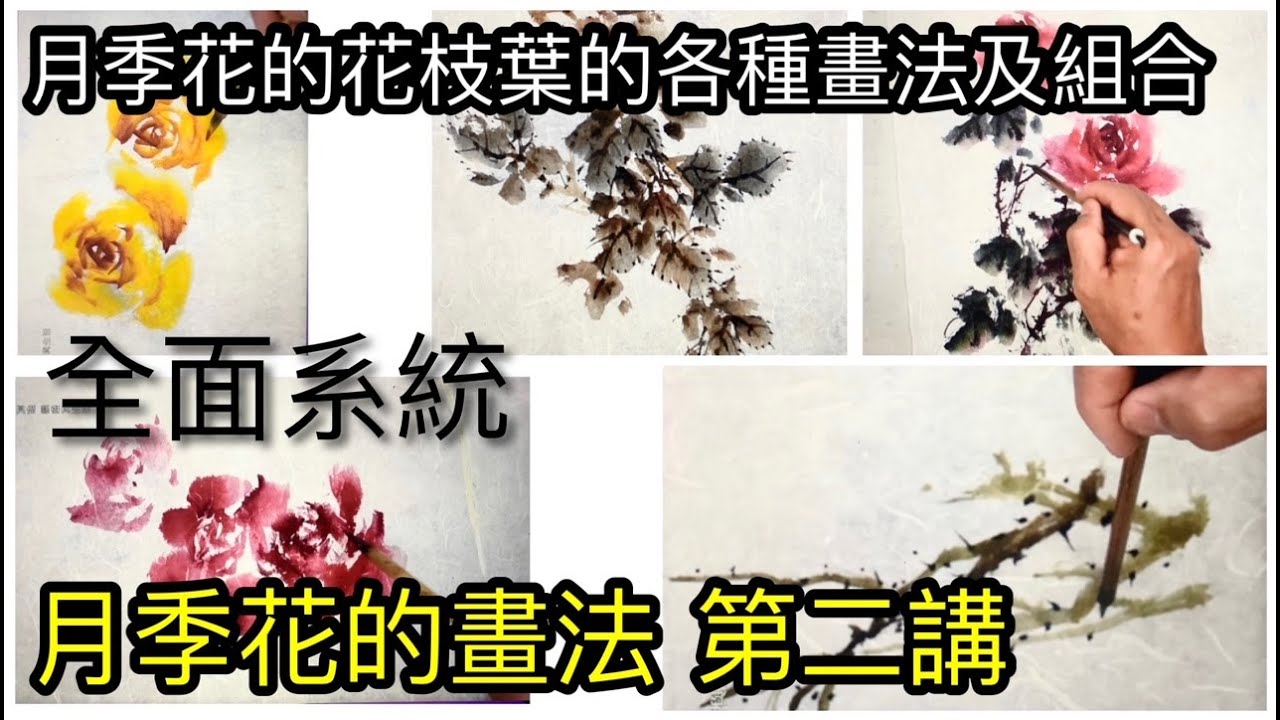 #58月季花的畫法第二講 月季花花頭的組合及花枝葉的組合畫法  Various combinations of Chinese rose flowers, branches and leaves