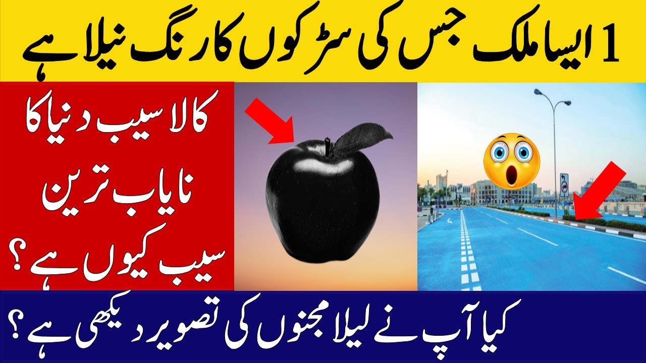Blue Road In Doha Qatar | 14 Amazing Facts In Hindi Urdu | Facts Idea