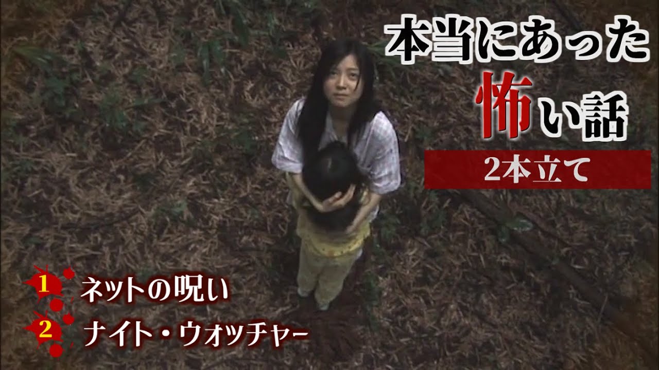 【圧倒的恐怖】ホラー好き必見！本当にあった怖い話2本立て【ネットの呪い／ナイト・ウォッチャー】
