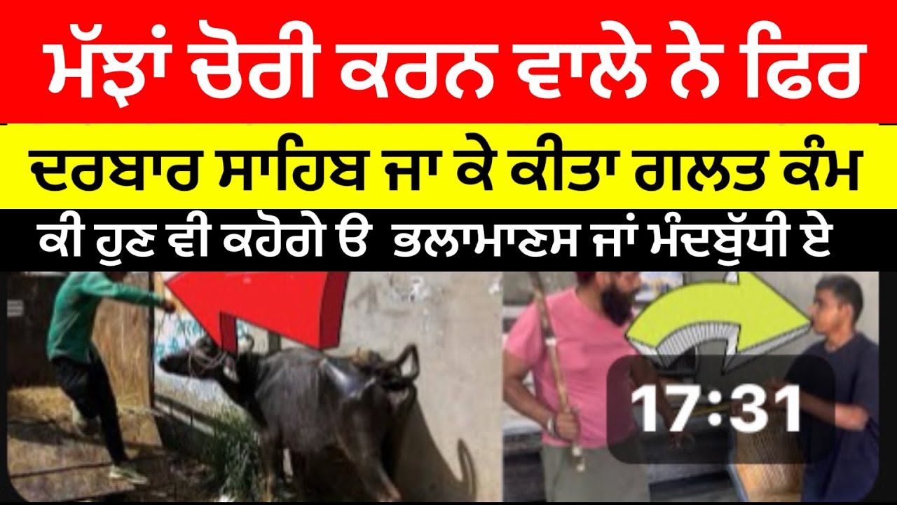 ਮੱਝਾਂ ਚੋਰੀ ਕਰਨ ਵਾਲੇ ਨੇ ਫਿਰ ਦਰਬਾਰ ਸਾਹਿਬ ਜਾ ਕੇ ਕੀਤਾ ਗਲਤ ਕੰਮ