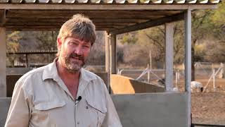 Bush Control Namibia: Turning Bush into Fodder